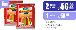 Makro Gelatina UNIVERSAL 2Bolsas x 5 kg oferta