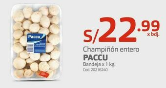Makro Champiñón entero paccu bandeja x 1 kg oferta