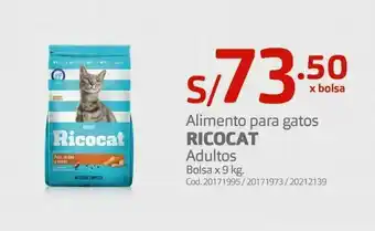 Makro Comida para gatos ricocat 9kg oferta