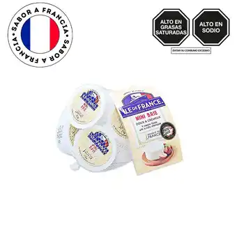 Tottus Queso mini brie oferta