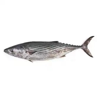 Tottus Bonito entero oferta