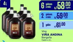 Makro Vino VIÑA ANDINA Borgoña Galón x 4L oferta