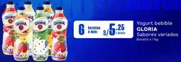 Makro Yogurt bebible GLORIA Sabores variados Botella x 1kg oferta