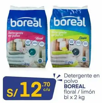 Detergente en polvo Boreal 2kg