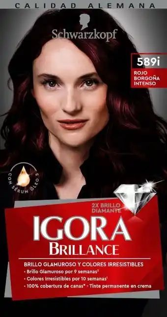 Tottus Tinte tono rojo borgoño intenso #589 oferta
