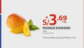 Makro Mango edward oferta