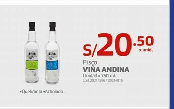 Makro Pisco viña andina oferta