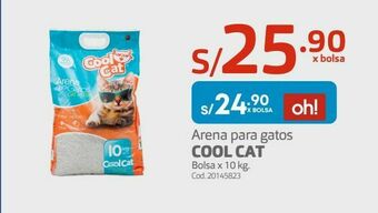 Makro Arena para gatos cool cat oferta