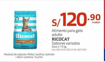 Makro Comida para gatos ricocat oferta