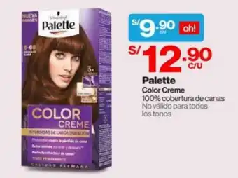 Palette Color Creme