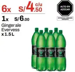 Metro Ginger ale evervess oferta