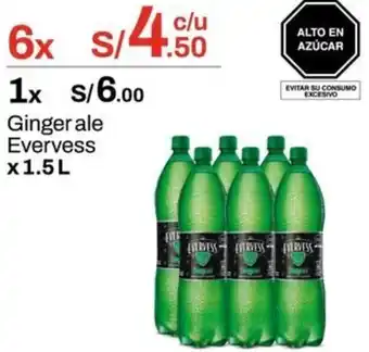 Metro Ginger ale evervess oferta