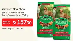 Wong Dog chow alimento oferta