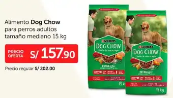 Wong Dog chow alimento oferta