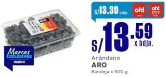 Makro Aro arándano bandeja oferta