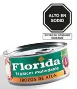 Plaza Vea Trozos de atún FLORIDA en aceite vegetal la oferta