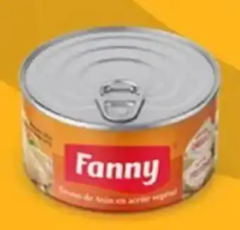 Plaza Vea Trozos de atún FANNY en aceite vegetal la oferta