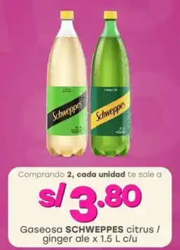 Tottus Gaseosa SCHWEPPES citrus / ginger ale oferta