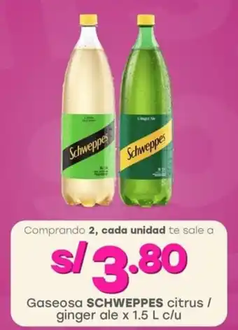 Tottus Gaseosa SCHWEPPES citrus / ginger ale oferta