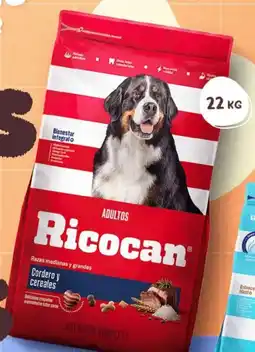 Makro Alimento para perros adultos RICOCAN Sabores variados Saco oferta