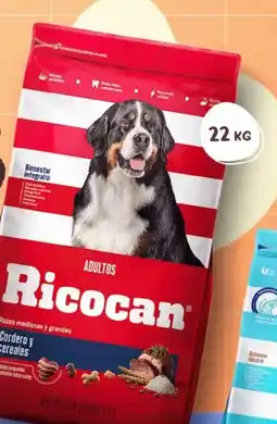 Makro Alimento para perros adultos RICOCAN Sabores variados Saco oferta