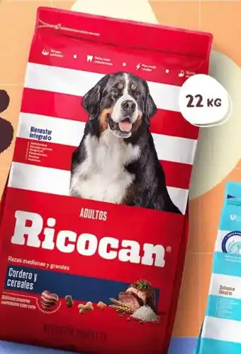 Makro Alimento para perros adultos RICOCAN Sabores variados Saco oferta