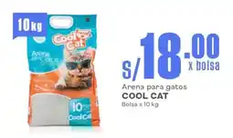 Makro Arena para gatos COOL CAT Bolsa oferta