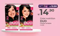 Vega Color nutrition Colores variados oferta