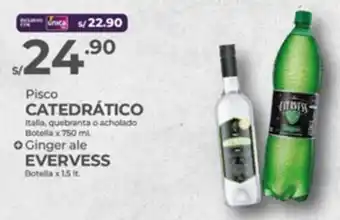 Vega Pisco CATEDRÁTICO Italia, quebranta o acholado Botella + Ginger ale EVERVESS Botella oferta