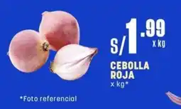 Makro Cebolla roja oferta