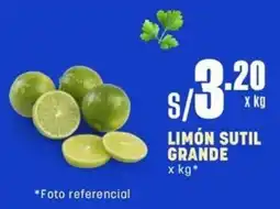 Makro Limón sutil grande oferta