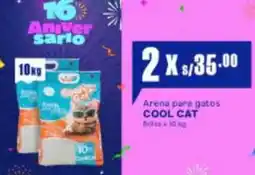 Makro Cool cat arena para gatos oferta