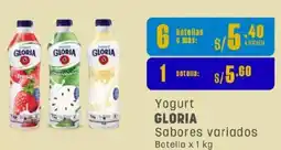 Makro Gloria yogurt sabores variados botella oferta