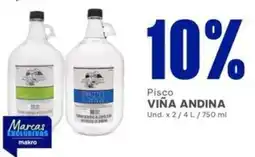 Makro Viña andina pisco oferta