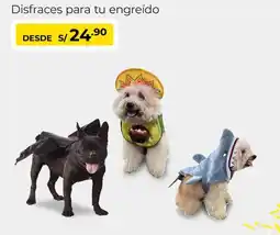 Metro Disfraces para tu engreído oferta