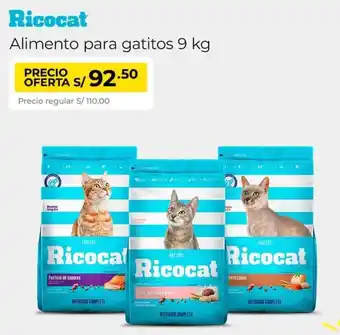 Metro Ricocat alimento para gatitos oferta