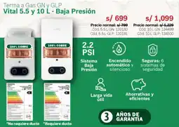 Hiraoka Bosch terma a gas gn y glp oferta