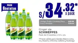 Makro Schweppes ginger ale oferta
