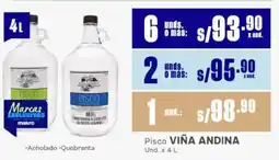 Makro Viña andina pisco oferta