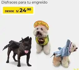 Metro Disfraces para tu engreído oferta