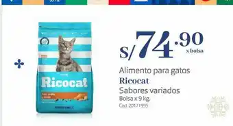 Makro Alimento para gatos ricocat oferta