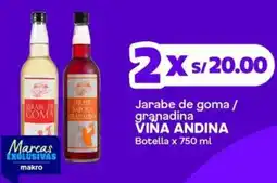 Makro Viña andina jarabe de goma / granadina botella oferta