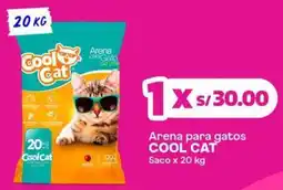 Makro Cool cat arena para gatos saco oferta