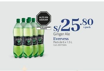 Makro Ginger ale evervess oferta