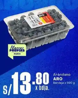 Makro Aro arándano bandeja oferta