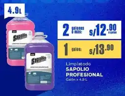 Makro Sapolio profesional limpiatodo oferta