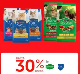 Wong En purina dog chow/ cat chow oferta