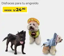 Metro Disfraces para tu engreído oferta
