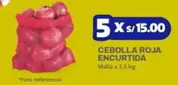 Makro Cebolla roja encurtida oferta