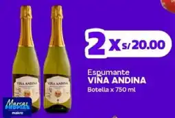 Makro Vina Andina espumante oferta